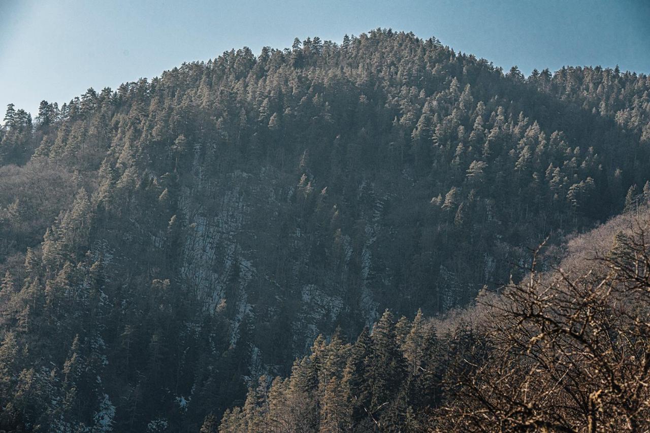 Roombox Likani Borjomi Exterior photo